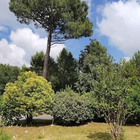 Entre Et Ocean Spacieuse Et Calme Holiday home Naujac-sur-Mer